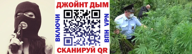 Марихуана SATIVA & INDICA  Купить где  Темрюк 